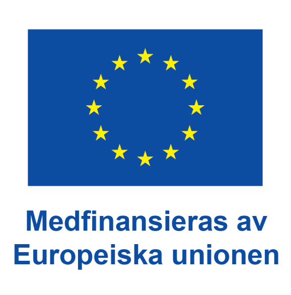 Medinaniseras av Europeiska unionen