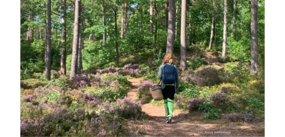 En kvinna syns gående från kameran på en stig i skogen. Hon bär färgglada byxor, en blå topp samt en stor blå ryggsäck. På armen bär hon även en korg. Skogens mark är fylld av lila blommor.
