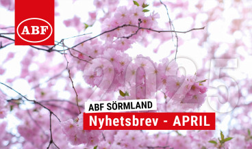 rosa magnolia blommor i bakgrunden och texten nyhetsbrev april