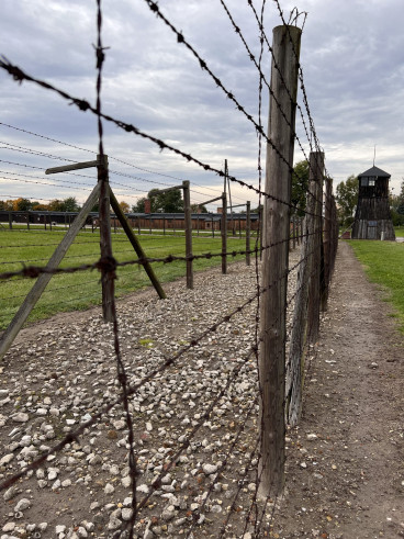 när bild på stängsel med taggrtråd vid ett koncentrationsläger i polen